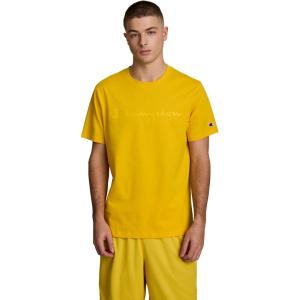 imageChampion Mens Classic Script Graphic Short Sleeve TShirt Standard Fit Tonal Logo Available in Regular and Big amp TallFreesia  Tonal Script Logo