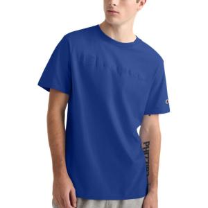 imageChampion Mens Classic Script Graphic Short Sleeve TShirt Standard Fit Tonal Logo Available in Regular and Big amp TallSurf the Web