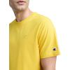 imageChampion Mens Classic Short Sleeve TShirt Standard Fit Midweight 100 Cotton Available in Regular and Big amp TallFreesia