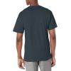 imageChampion Mens Classic Short Sleeve TShirt Standard Fit Midweight 100 Cotton Available in Regular and Big amp TallGranite Heather  C Logo