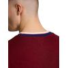 imageChampion Mens Modern Retro 100 Washed Cotton Crewneck Sweatshirt Standard FitPomegranate
