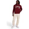 imageChampion Mens Modern Retro 100 Washed Cotton Pullover Hoodie Standard FitPomegranate
