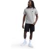 imageChampion Mens Classic Graphic Short Sleeve TShirt Standard Fit Champion Club GraphicsOxford Gray Heather  Sunsetters