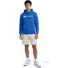 image:imageChampion Mens Pullover Graphic Fleece Hoodie Standard Fit Midweight Fleece Classic Script LogoNebulas Blue