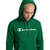image:imageChampion Mens Pullover Graphic Fleece Hoodie Standard Fit Midweight Fleece Classic Script LogoVerdant Green