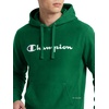 image:imageChampion Mens Pullover Graphic Fleece Hoodie Standard Fit Midweight Fleece Classic Script LogoVerdant Green