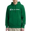 image:imageChampion Mens Pullover Graphic Fleece Hoodie Standard Fit Midweight Fleece Classic Script LogoVerdant Green