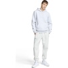 image:imageChampion Mens Pullover Fleece Hoodie Standard Fit Midweight C Logo Available in Regular and Big amp TallPlatinum Silver Heather  C Logo
