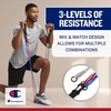 image:imageChampion Interchangeable 3in1 Tube Resistance Bands GreyRedBlue Exercise Bands with Foam Grip Handles for Strength Training Physical Therapy Stretching and Progressive Training